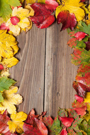 Colorful autumn leaves on a wooden table.