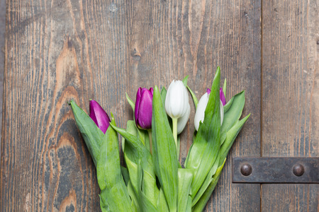 White and lilac tulips on a wooden chestの写真素材