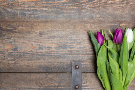 White and lilac tulips on a wooden chestの写真素材