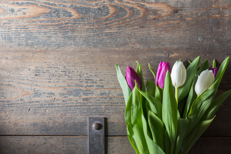 White and lilac tulips on a wooden chestの写真素材