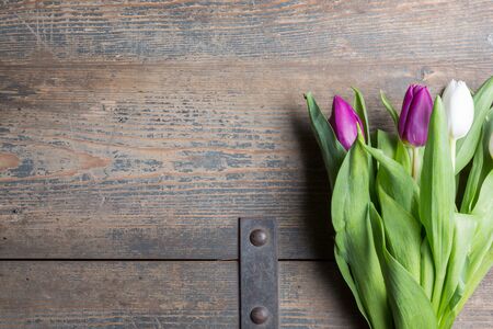 White and lilac tulips on a wooden chestの写真素材