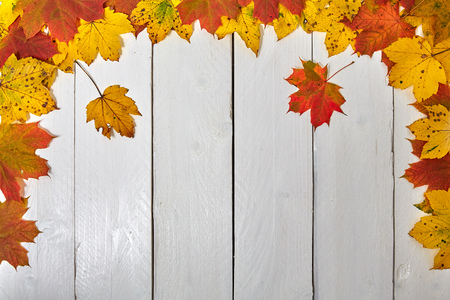 Colorful autumn leaves on a wooden boardの写真素材