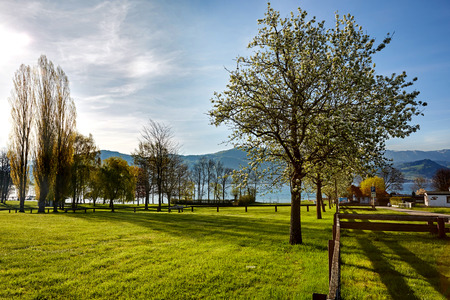 Lake Attersee in the Austrian Salkmammergut in the morning in springtime.の写真素材