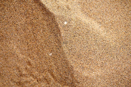 Sand on the beach as a background image