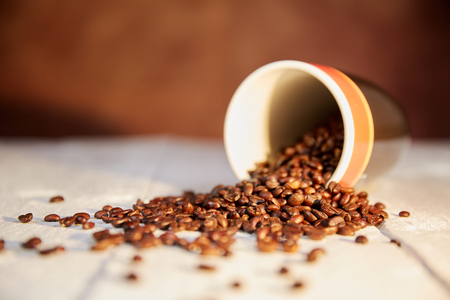 Coffee beans scatterd on a white table in a cupの写真素材