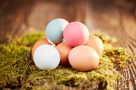 Pastel easter eggs on green moss on wooden table in front of brown wallの写真素材