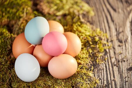 Top view of easter eggs on green moss on  old wooden table の写真素材