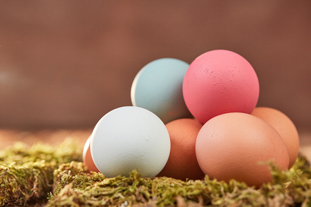 Pastel colored easter eggs on moss on a brown wooden table in front of brown backgroundの写真素材
