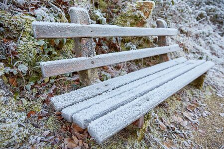 Frost and ice on plants in winter covered in iceの写真素材