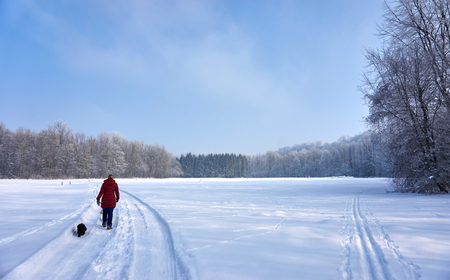 Woman walking with 2 havanese dogs in beautiful winter snow landscapeの写真素材
