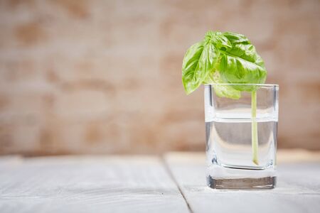 Basil on white table in front of brown brick wallの写真素材
