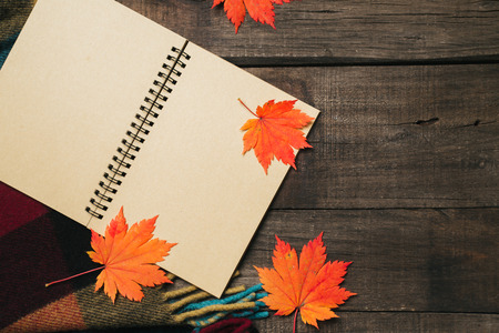 Autumn leaves with plaid on old vintage wooden background.の写真素材