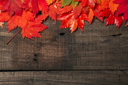 Autumn leaves on old vintage wooden background. Top view with space for your text.の写真素材