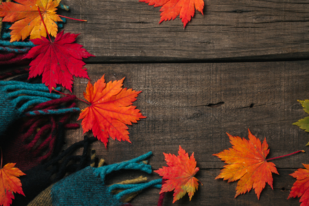 Autumn leaves with plaid on old vintage wooden background.の写真素材