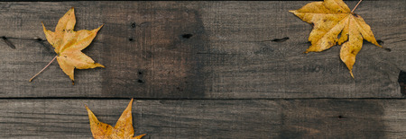 Autumn leaves on old vintage wooden background.の写真素材