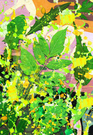 Composition from leaves.Summer mood