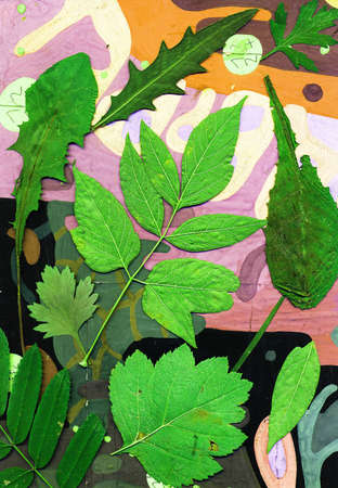 Composition from leavesの写真素材