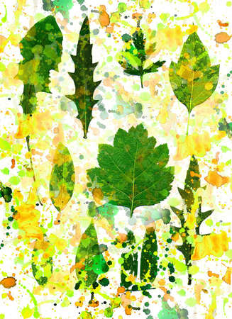 Summer leaves.Summer moodの写真素材