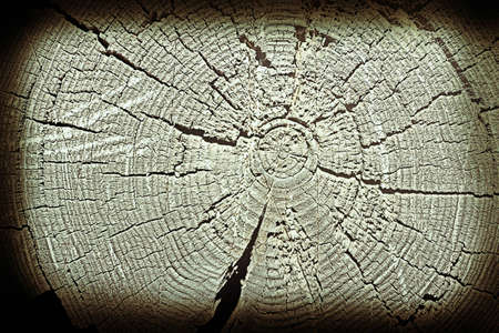 Wood textureの写真素材