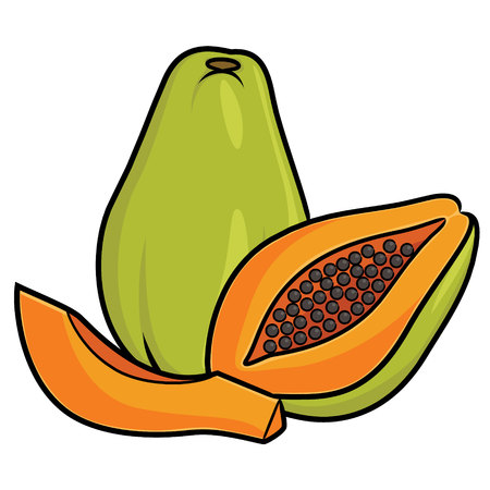 Illustration of cute cartoon papaya.のイラスト素材