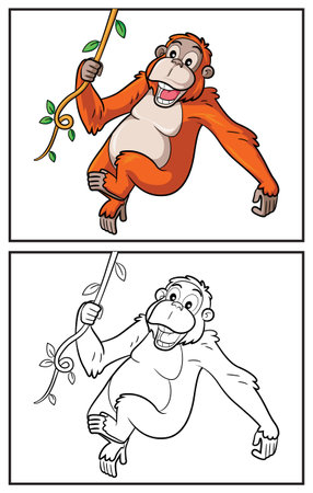 Coloring book cute orangutan. Coloring page and colorful clipart character. Vector cartoon illustration.のイラスト素材