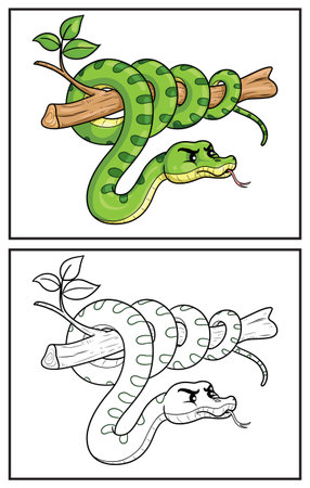 Coloring book cute snake. Coloring page and colorful clipart character. Vector cartoon illustration.のイラスト素材