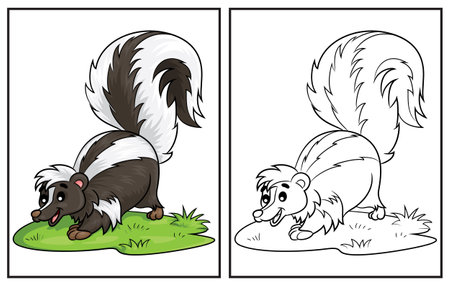 Coloring book cute skunk. Coloring page and colorful clipart character. Vector cartoon illustration.のイラスト素材