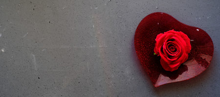 Red rose on heart-shaped plate, on grey backgroundの写真素材