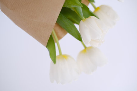 Bouquet of white tulips on white backgroundの写真素材