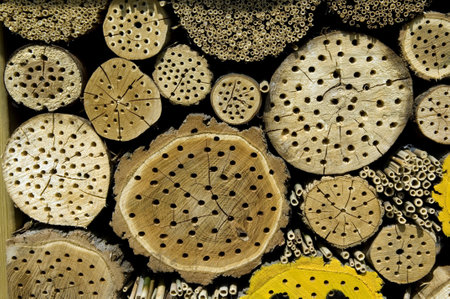 Insect shelter for wild bees and other insects.