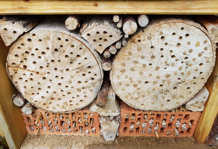 Insect hotels serve insects, especially wild bees, as a shelter and breeding ground.