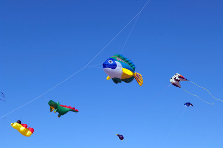 The kite festival on the island of Roemoe in Denmark is one of the largest in Europe.の写真素材