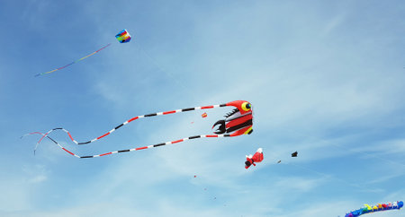 The kite festival on the island of Roemoe in Denmark is one of the largest in Europe.