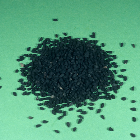 Blackcurrant, Nigella sativa, is an important medicinal plant and a scented plant with blue or white...