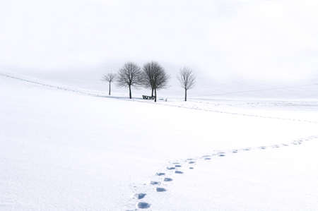 Winter landscape and snow landscape in Taunusstein in the Taunus.の写真素材