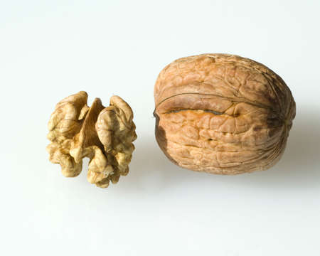 Walnut trees are large, useful trees with large nuts.