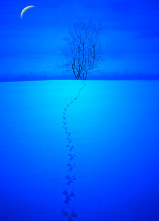 The waning moon is the phase when the crescent of the moon becomes smaller and smaller after the full moon.の写真素材