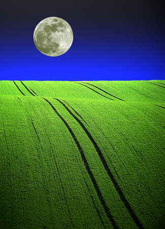 Full moon at night is a mystical mood.の写真素材