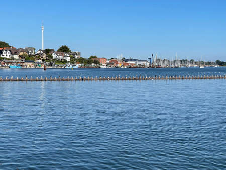 Herring fence in the town of Kappeln is a unique document of fishing in the Schlei. It is the last fully functional herring fence in Europe.のeditorial素材