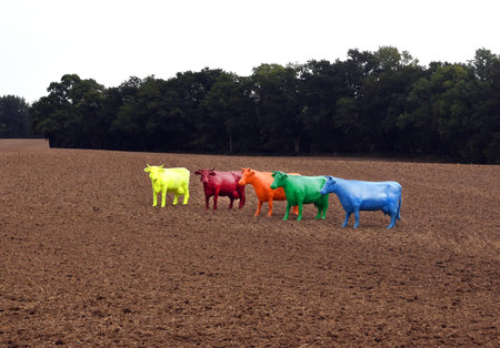 Colorful plastic cows are often found in nature as eye-catchers and somehow attract attention.の写真素材