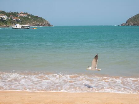Ferradura beach in Buzios, Brazilの写真素材