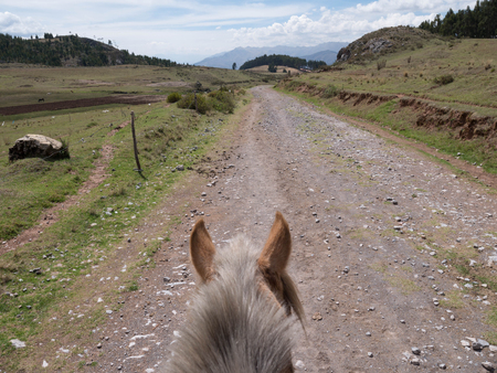 Horse on mountain dirt road with Rider Point of Viewの写真素材