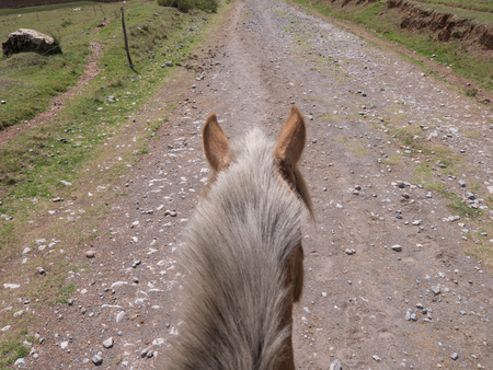 Horse on mountain dirt road with Rider Point of Viewの写真素材