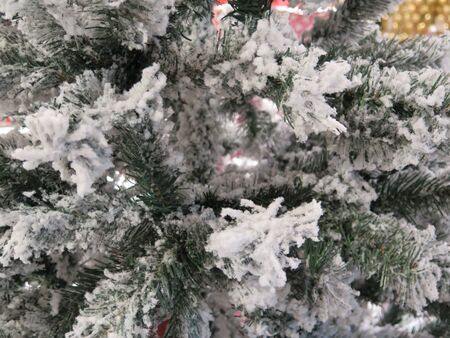 Christmas Tree Detailの写真素材