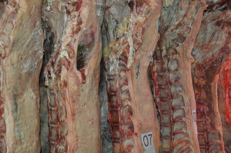 Raw hamの写真素材