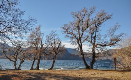 Lakar Lake, Patagonia Argentinaの写真素材