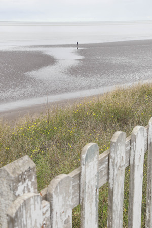 Coast of Punta Alta, Buenos Aires, Argentinaの写真素材