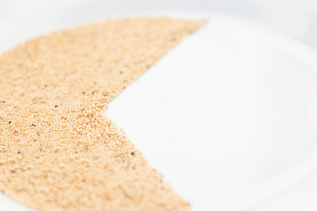 millet seeds pie chartの写真素材
