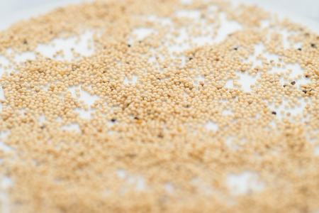 Pile of raw millet seedsの写真素材