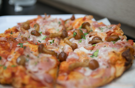 Mushroom pizzaの写真素材